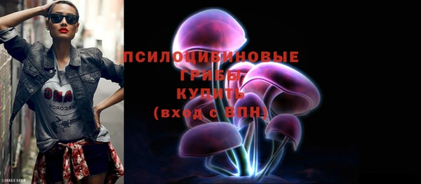 соль ск Заводоуковск