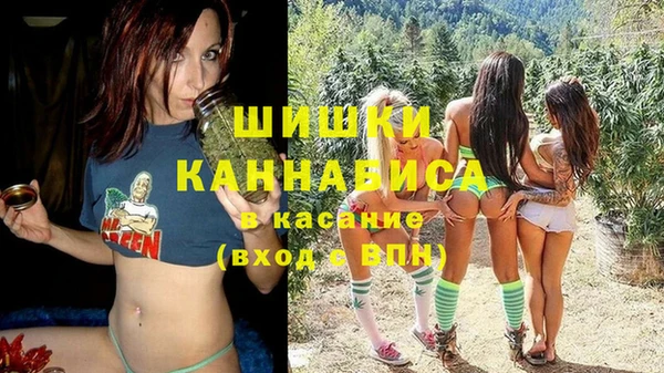 соль ск Заводоуковск