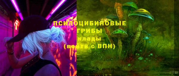 соль ск Заводоуковск
